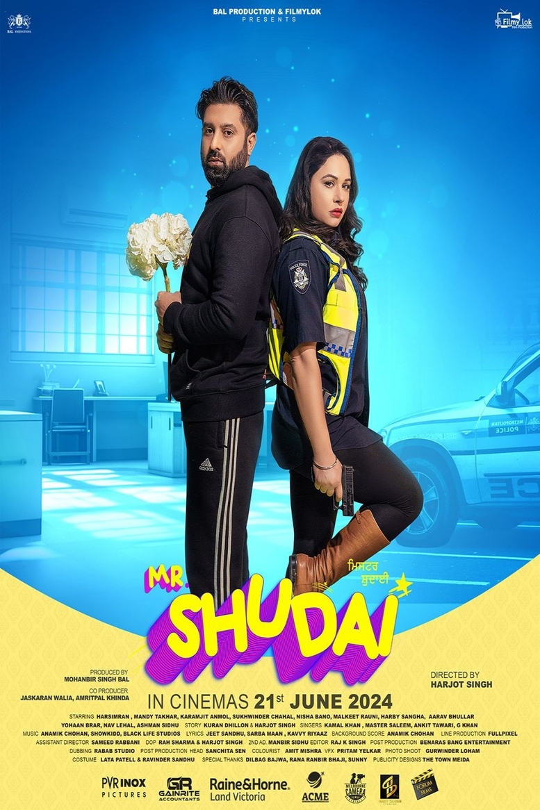 Mr Shudai 2025 Punjabi HdRip
